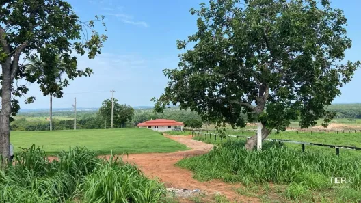com 1 Quarto à venda, 395m² no , Guaraí