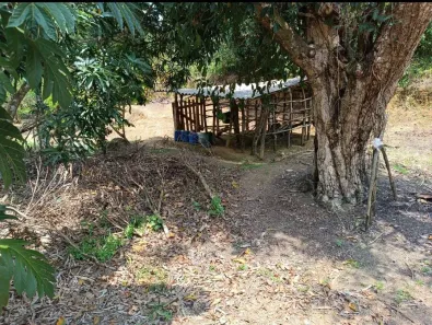 Fazenda / Sítio / Chácara com 2 Quartos à venda, 200000m² no Nossa Senhora do O, Ipojuca