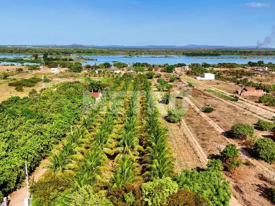Fazenda / Sítio / Chácara à venda, 84000m² no Pedrinhas, Petrolina