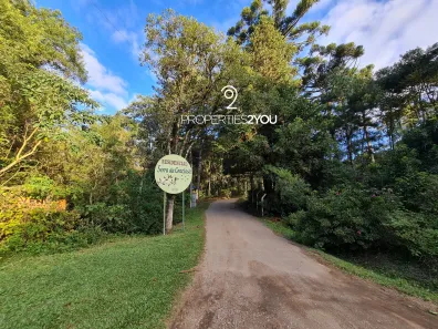 Fazenda / Sítio / Chácara à venda, 5000m² no Borda do Campo, Quatro Barras