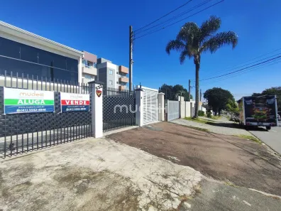 Sobrado com 4 Quartos para alugar, 150m² no Cruzeiro, São José dos Pinhais