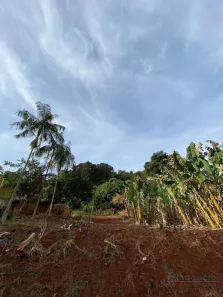 Fazenda / Sítio / Chácara à venda, 2499m² no Condomínio Horizontal Marajoara, Ibiporã