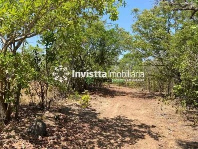 Fazenda / Sítio / Chácara à venda, 242m² no Centro, Pium