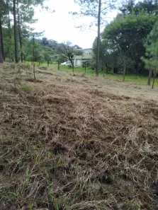 Terreno / Lote / Condomínio à venda, 4250m² no , Campina Grande do Sul