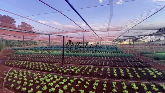 Fazenda / Sítio / Chácara com 3 Quartos à venda, 24200m² no , Cravinhos