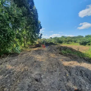 Fazenda / Sítio / Chácara com 1 Quarto à venda, 7900m² no Santa Terezinha, Fazenda Rio Grande