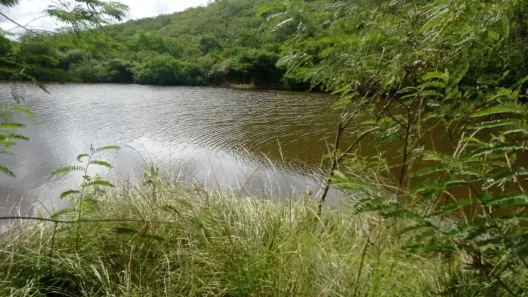 Fazenda / Sítio / Chácara com 4 Quartos à venda, 140000m² no , Pombos