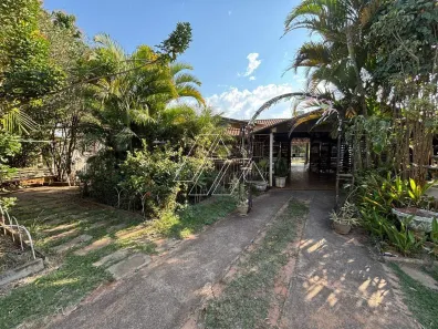 Fazenda / Sítio / Chácara com 3 Quartos à venda, 500m² no Sítios de Recreio Letícia (Padre Nóbrega), Marília