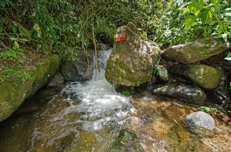 Fazenda / Sítio / Chácara com 3 Quartos à venda, 80000m² no Visconde de Mauá, Resende