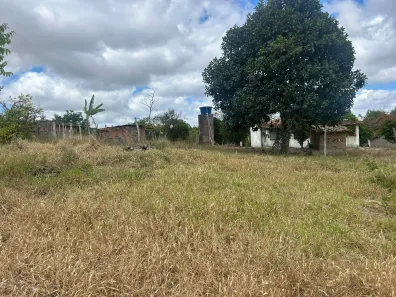Fazenda / Sítio / Chácara com 2 Quartos à venda, 20000m² no , Sairé