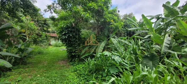 Fazenda / Sítio / Chácara com 4 Quartos à venda, 2100m² no Califórnia da Barra, Barra do Piraí