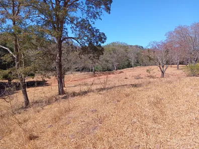 Fazenda / Sítio / Chácara com 2 Quartos à venda, 2081200m² no Núcleo Rural Lago Oeste, Brasília