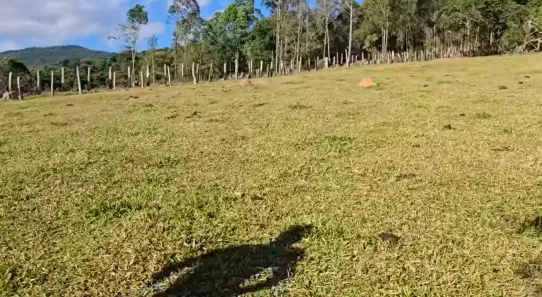 Terreno / Lote / Condomínio à venda, 10000m² no Centro, Pouso Alegre