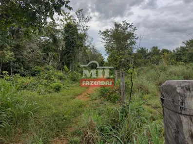 Fazenda / Sítio / Chácara à venda, 500m² no , Pium