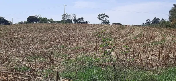 Fazenda / Sítio / Chácara com 3 Quartos à venda, 150m² no , Sarapuí