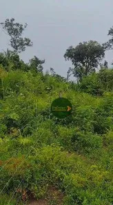 Fazenda / Sítio / Chácara à venda, 13176900m² no , Paranã