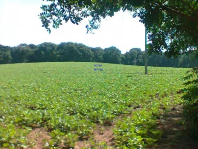 Fazenda / Sítio / Chácara com 1 Quarto à venda, 12000m² no , Contenda