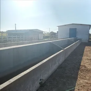 Fazenda / Sítio / Chácara com 3 Quartos à venda, 170000m² no , Vera Cruz