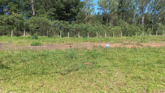 Terreno / Lote / Condomínio à venda, 384m² no Araçatuba, Campina Grande do Sul