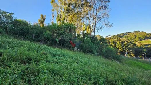 Fazenda / Sítio / Chácara com 1 Quarto à venda, 10975m² no Área Rural de Araucária, Araucária