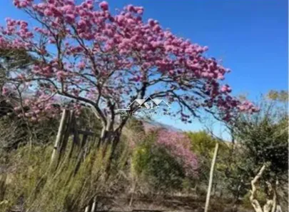 Fazenda / Sítio / Chácara com 2 Quartos à venda, 70m² no Santo Antônio, Paty do Alferes