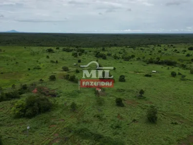 Fazenda / Sítio / Chácara à venda, 500m² no Centro, Formosa