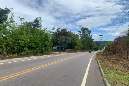 Fazenda / Sítio / Chácara com 3 Quartos à venda, 360m² no , Conde