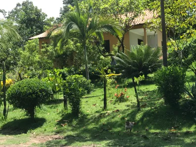 Fazenda / Sítio / Chácara à venda, 14700m² no Centro, Tanguá