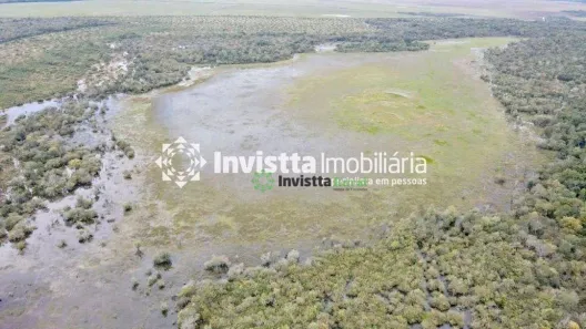 Fazenda / Sítio / Chácara à venda, 440m² no Centro, Lagoa da Confusão