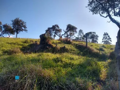Fazenda / Sítio / Chácara com 4 Quartos à venda, 140m² no Freguesia da Escada, Guararema