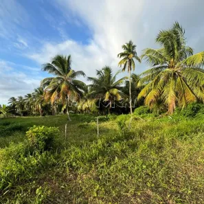 Terreno / Lote / Condomínio à venda, 42000m² no Centro, Barra dos Coqueiros