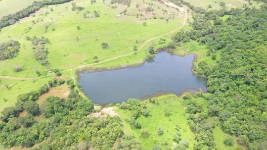Fazenda / Sítio / Chácara com 4 Quartos à venda, 6000000m² no , Padre Bernardo