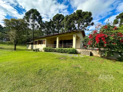 Fazenda / Sítio / Chácara com 2 Quartos à venda, 5999m² no Salgadinho, Campo Largo