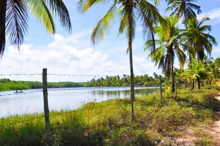 Terreno / Lote / Condomínio à venda, 60000m² no Canavieiras, Canavieiras