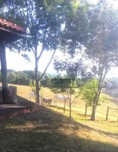 Fazenda / Sítio / Chácara à venda, 363000m² no Fundão, Alambari