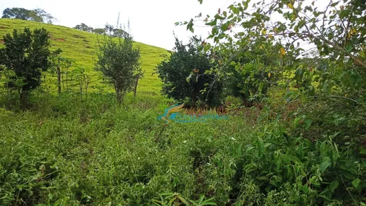 Fazenda / Sítio / Chácara com 2 Quartos à venda, 50762m² no , Catanduvas