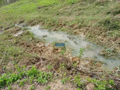 Fazenda / Sítio / Chácara com 3 Quartos à venda, 200m² no Centro, Esmeraldas
