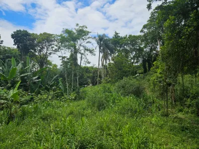 Terreno / Lote / Condomínio à venda, 900m² no Antonina, Antonina