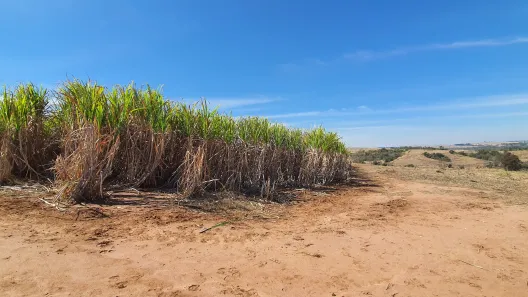 Fazenda / Sítio / Chácara à venda, 72600m² no Área Rural de Águas de São Pedro, Águas de São Pedro