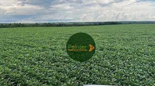 Fazenda / Sítio / Chácara à venda, 5030000m² no , Pedro Afonso