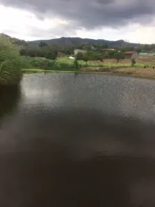 Fazenda / Sítio / Chácara com 4 Quartos à venda, 210m² no , Agrestina