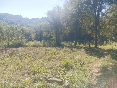Terreno / Lote / Condomínio à venda, 4451m² no Jardim Boa Vista, Campo Magro