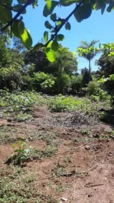 Terreno / Lote / Condomínio à venda, 1200m² no Chácara Ipês, Caçapava