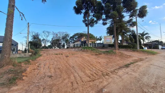 Terreno / Lote / Condomínio à venda, 3940m² no Centro, Campo Magro