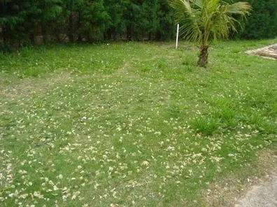 Fazenda / Sítio / Chácara com 2 Quartos à venda, 2150m² no , Sarapuí
