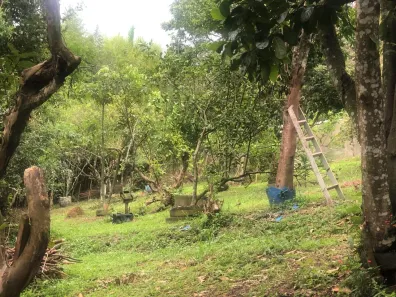Fazenda / Sítio / Chácara com 1 Quarto para alugar, 1600m² no Area Rural de Paraibuna, Paraibuna