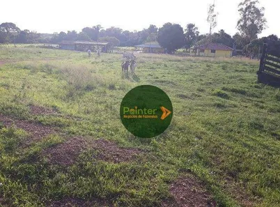 Fazenda / Sítio / Chácara à venda, 12387375m² no Área Rural de Gurupi, Gurupi