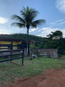 Fazenda / Sítio / Chácara com 4 Quartos para alugar, 10m² no , Caeté