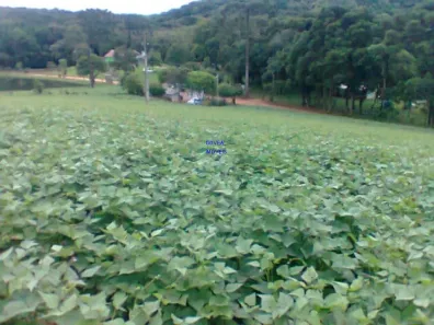 Fazenda / Sítio / Chácara com 1 Quarto à venda, 12000m² no , Contenda