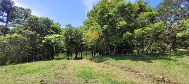 Fazenda / Sítio / Chácara com 1 Quarto à venda, 29519m² no , Tijucas do Sul